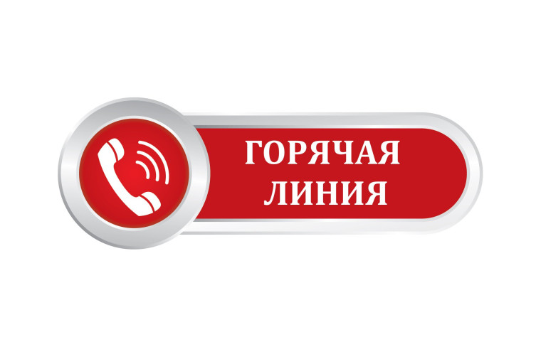 Тематическая горячая линия.
